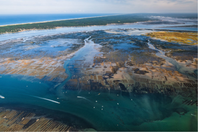 SIBA friches restauration vasières